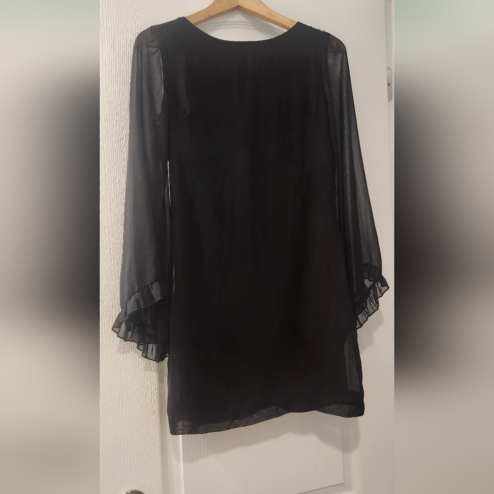 Elegant Black Sheer Dress